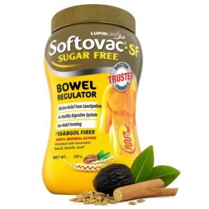 Best Fiber Supplements for Daily Digestive Support